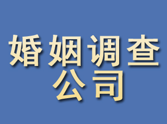 文成婚姻调查公司